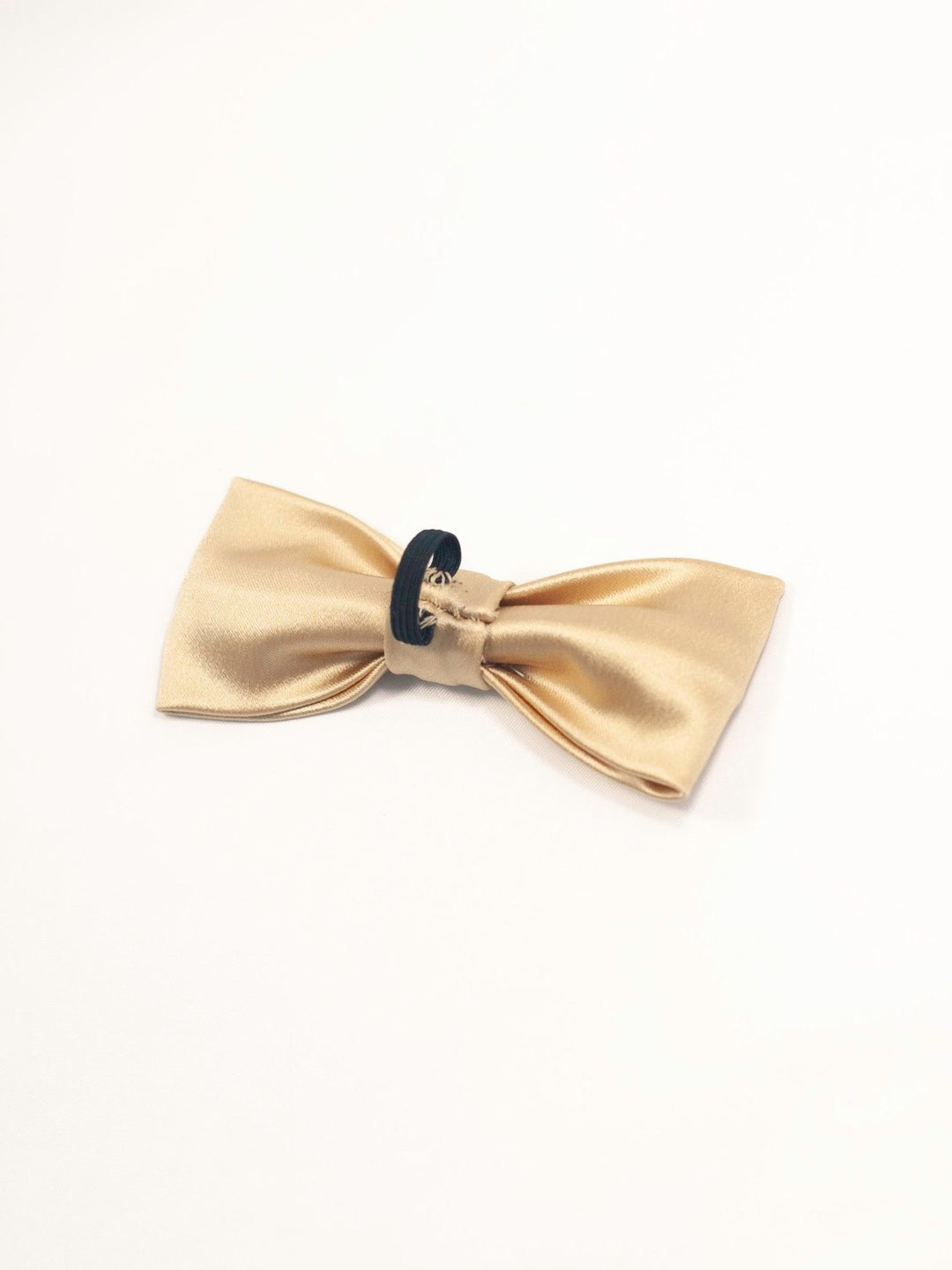 Large pet-collar bowtie in vibrant fabric attached to a Catahoula Leopard dog collar.
