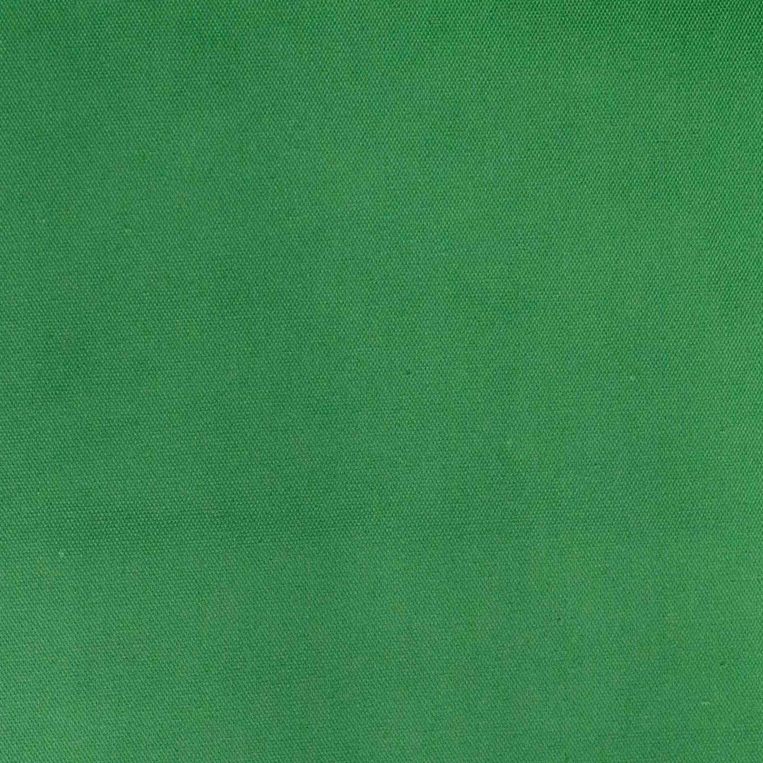 Japanese Cotton Oxford - Kelly Green