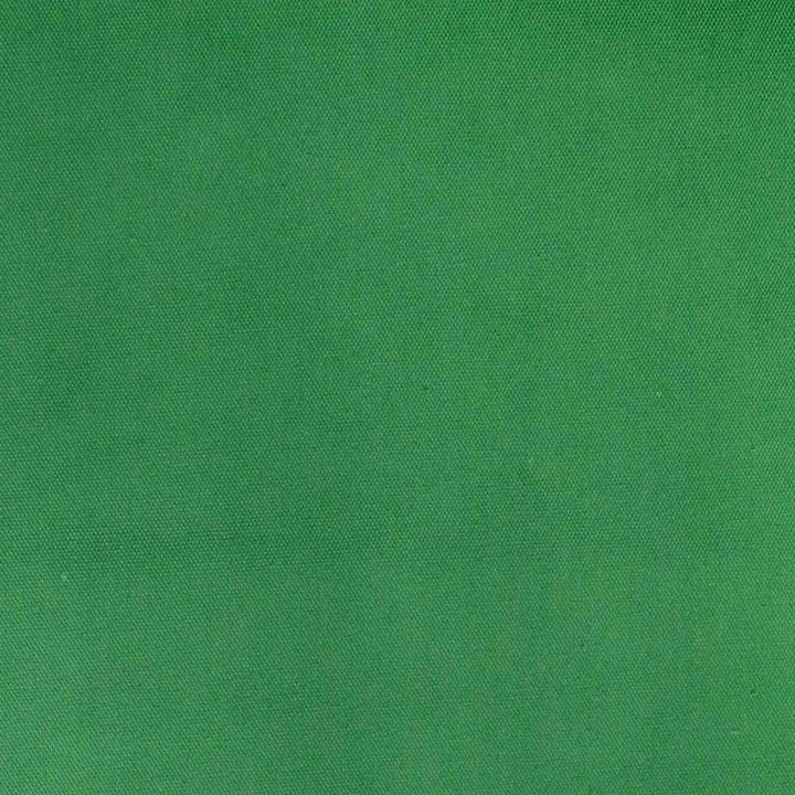Japanese Cotton Oxford - Kelly Green