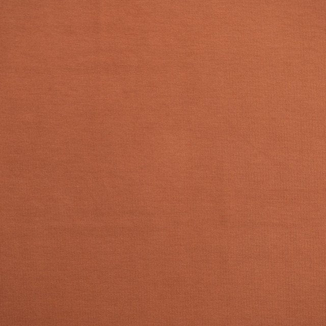 Caramel Tencel Rib Knit Fabric - 90% Tencel 10% Spandex - Stretchy Eco-Friendly Ribbed Material for Sewing