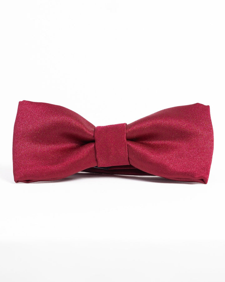 Satin bowtie in elegant fall/winter hues, perfect for formal occasions.