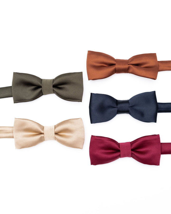 Satin bowtie in elegant fall/winter hues, perfect for formal occasions.
