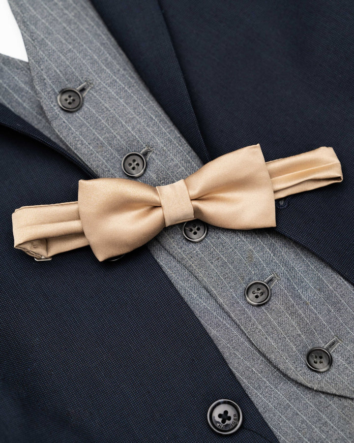 Satin bowtie in elegant fall/winter hues, perfect for formal occasions.