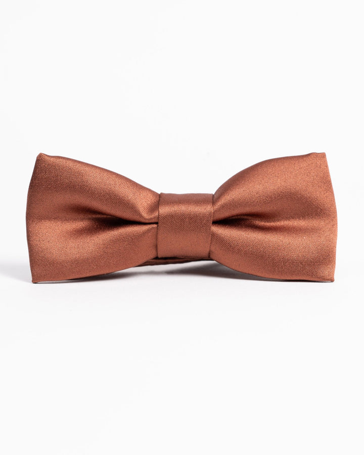 Satin bowtie in elegant fall/winter hues, perfect for formal occasions.