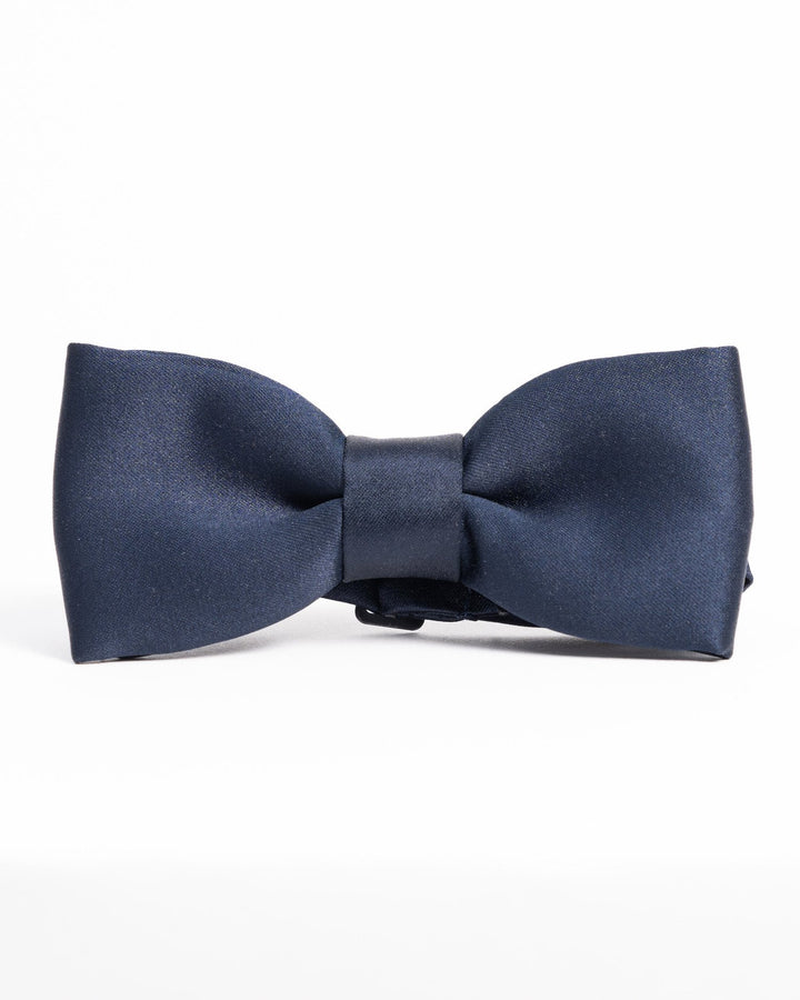 Satin bowtie in elegant fall/winter hues, perfect for formal occasions.