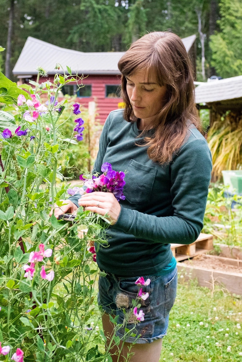 Pattern - Thread Theory - Woodley Tee
